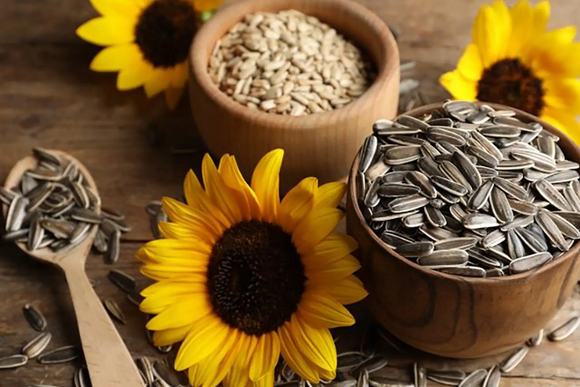 Thực phẩm giàu vitamin E nên ăn mỗi ngày