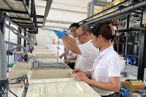 Sản xuất khởi sắc: Chuyên gia, doanh nghiệp nói gì?