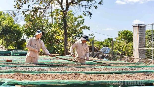 Gia Lai hỗ trợ doanh nghiệp xuất khẩu trước biến động từ Trung Đông