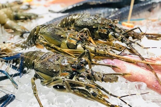 Doanh nghiệp cần làm gì để giữ lợi thế của ngành tôm tại EU?