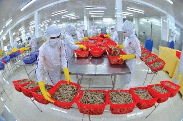 Tín dụng nông nghiệp và xuất khẩu nông sản: “Xoay trục” để kiến tạo vị thế mới