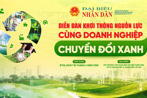 Khơi thông nguồn lực – Thúc đẩy doanh nghiệp chuyển đổi xanh