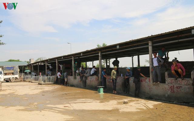 Chợ lợn lớn nhất miền Bắc đìu hiu, ế ẩm - Ảnh 16. Chợ lợn lớn nhất miền Bắc đìu hiu, ế ẩm - Ảnh 16.