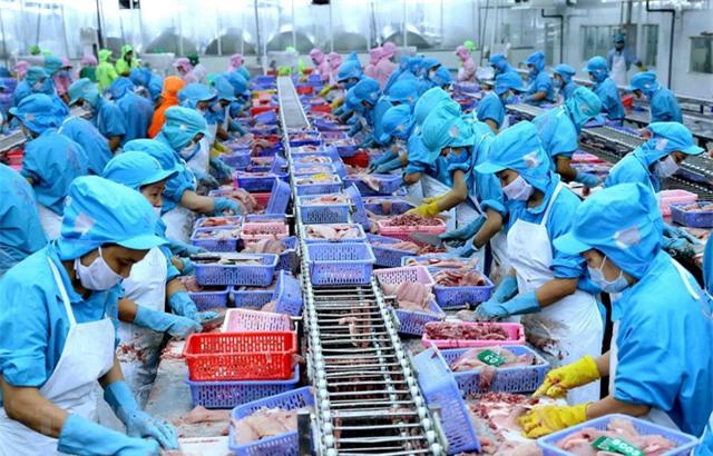 Xuất khẩu sang EU đạt gần 4,8 tỷ USD nhờ EVFTA - Ảnh 1. Xuất khẩu sang EU đạt gần 4,8 tỷ USD nhờ EVFTA - Ảnh 1.