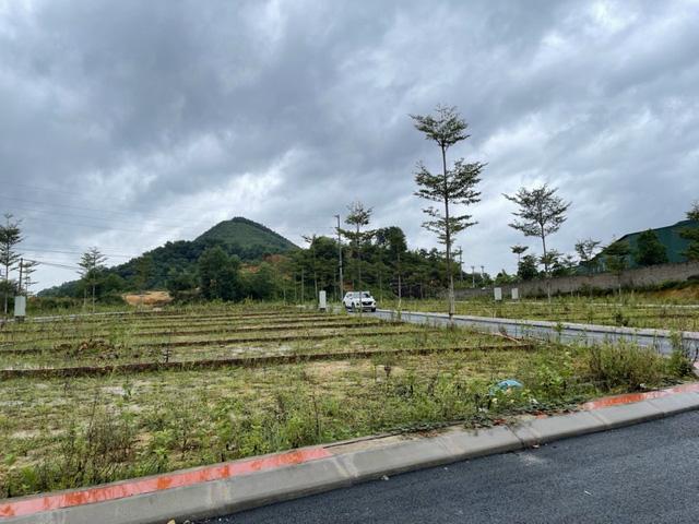 Tăng giá phi mã, thị trường bất động sản đang tiềm ấn dấu hiệu bất thường - Ảnh 1. Tăng giá phi mã, thị trường bất động sản đang tiềm ấn dấu hiệu bất thường - Ảnh 1.