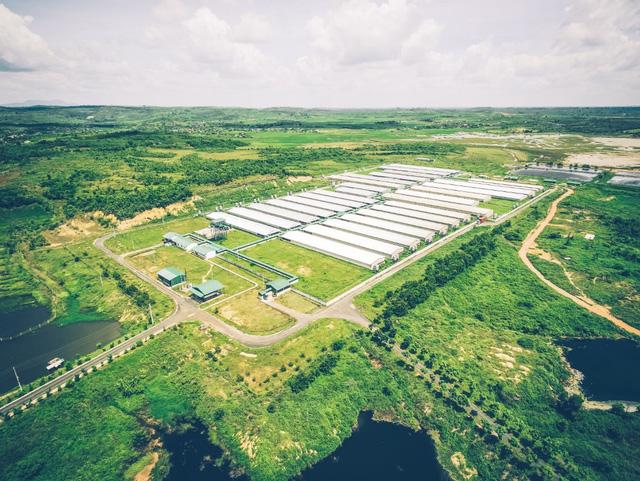 IFC đầu tư “khủng” vào doanh nghiệp tiên phong sở hữu chuỗi thực phẩm 3F Plus - Ảnh 3. IFC đầu tư “khủng” vào doanh nghiệp tiên phong sở hữu chuỗi thực phẩm 3F Plus - Ảnh 3.