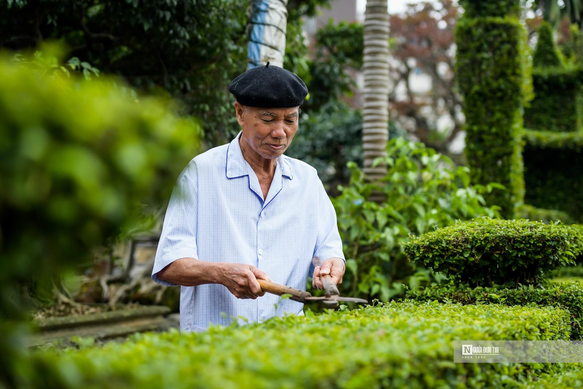 Văn hoá - Hà Nội: Ngắm cổng rào “độc nhất vô nhị” bằng cây ô rô 30 năm tuổi (Hình 3).