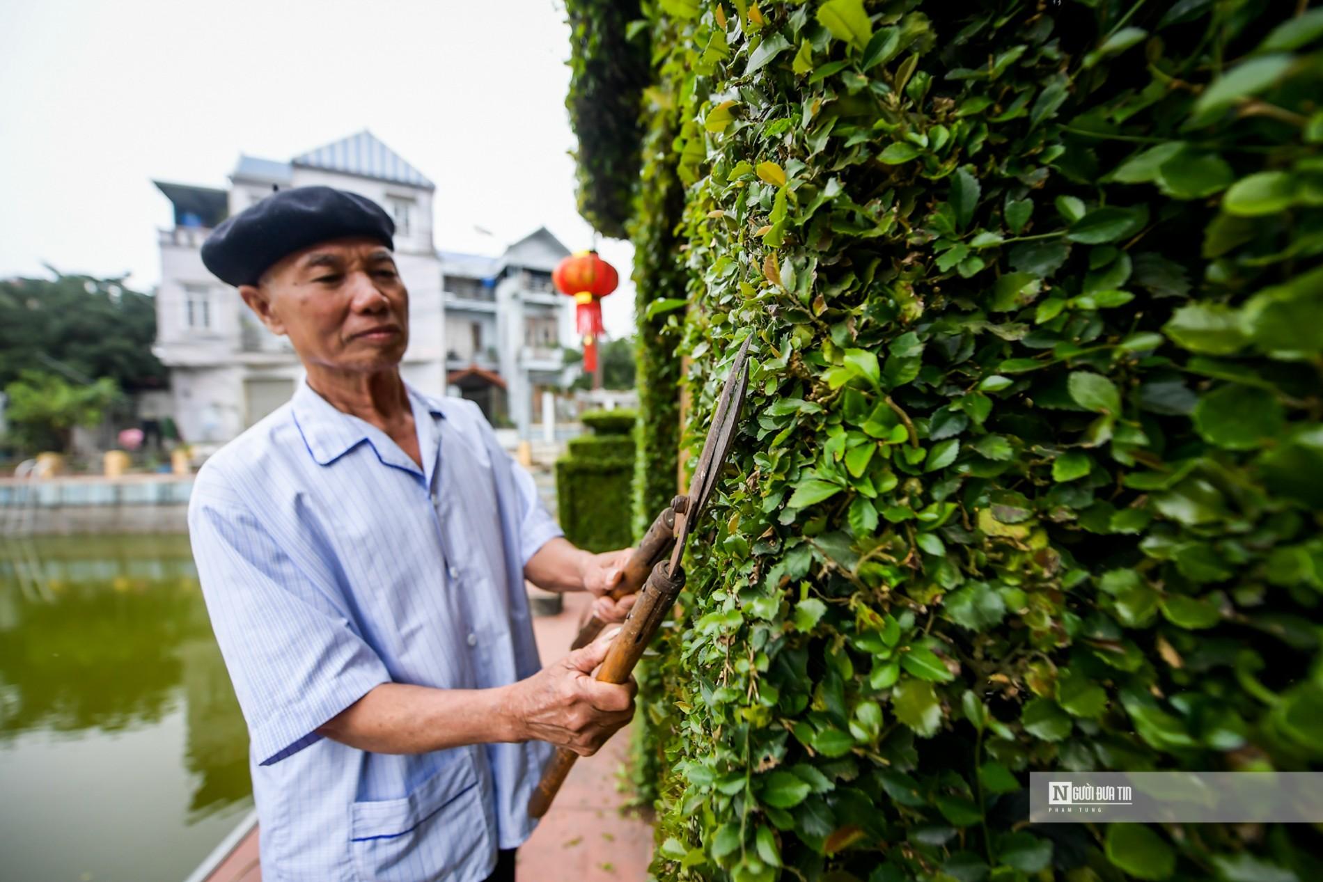 Văn hoá - Hà Nội: Ngắm cổng rào “độc nhất vô nhị” bằng cây ô rô 30 năm tuổi (Hình 8).