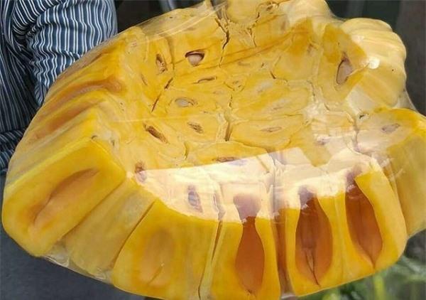 Bí quyết chọn mua mít Thái múi dày, ngọt lịm, không sợ hóa chất