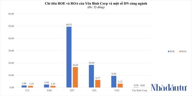 Sở hữu siêu dự án 8.000ha, Yên Bình Corp làm ăn ra sao? - Ảnh 3.