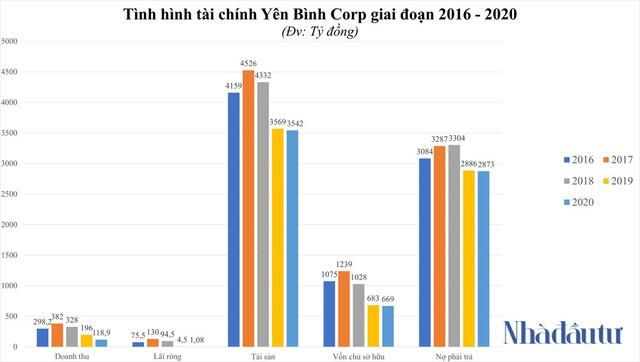 Sở hữu siêu dự án 8.000ha, Yên Bình Corp làm ăn ra sao? - Ảnh 1.