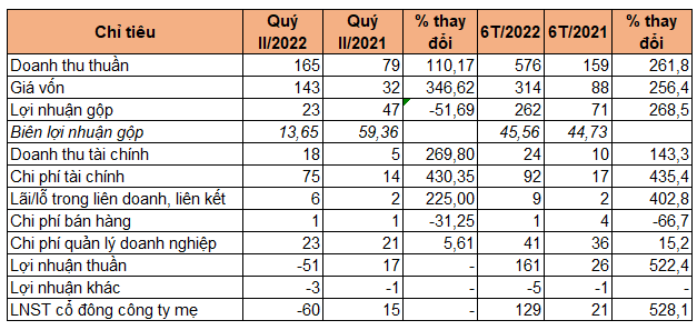 Sau quý đầu năm lãi kỷ lục, Saigontel báo lỗ 60 tỷ đồng quý II - Ảnh 1.