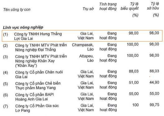 Hoàng Anh Gia Lai bảo lãnh cho một công ty con vay vốn ngân hàng - Ảnh 1.