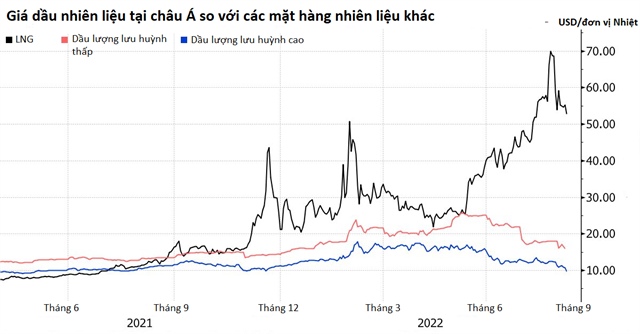 thiếu khí đốt châu Á ảnh 2