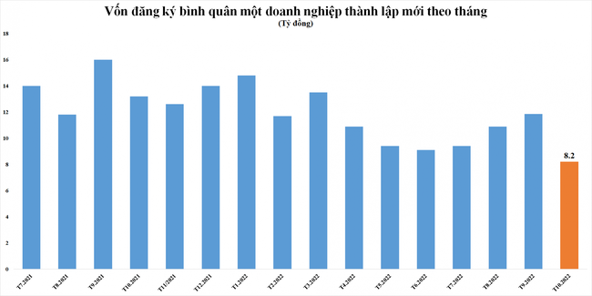 Vốn đăng ký bình quân của doanh nghiệp thành lập mới "teo tóp" - Ảnh 2.