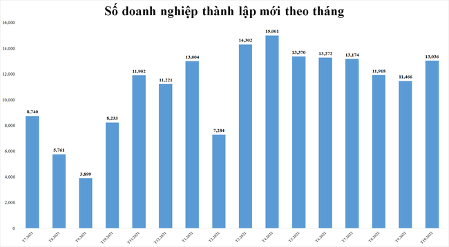 Vốn đăng ký bình quân của doanh nghiệp thành lập mới "teo tóp" - Ảnh 1.