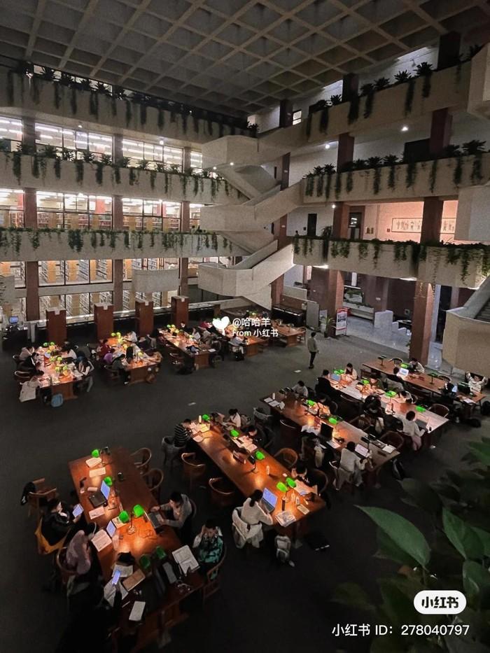 6h thư viện vẫn sáng đèn, "Harvard châu Á" có gì mà sinh viên phải học xuyên đêm? - Ảnh 1.