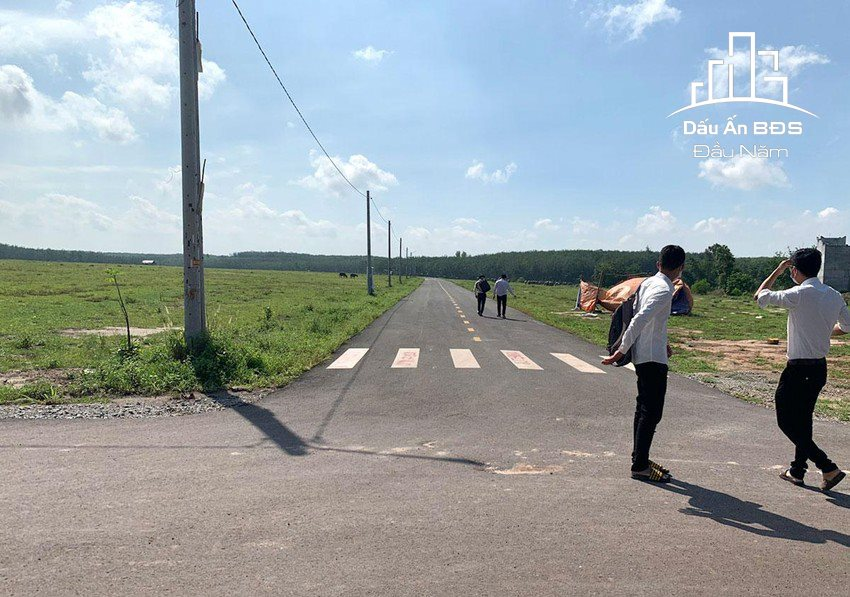 Hết thời “đánh bắt xa bờ”, nhà đầu tư đang săn bất động sản ở đâu? - Ảnh 1.