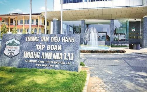 Hoàng Anh Gia Lai (HAGL) bổ sung tài sản bảo đảm nghĩa vụ tín dụng cho công ty con - Ảnh 1.