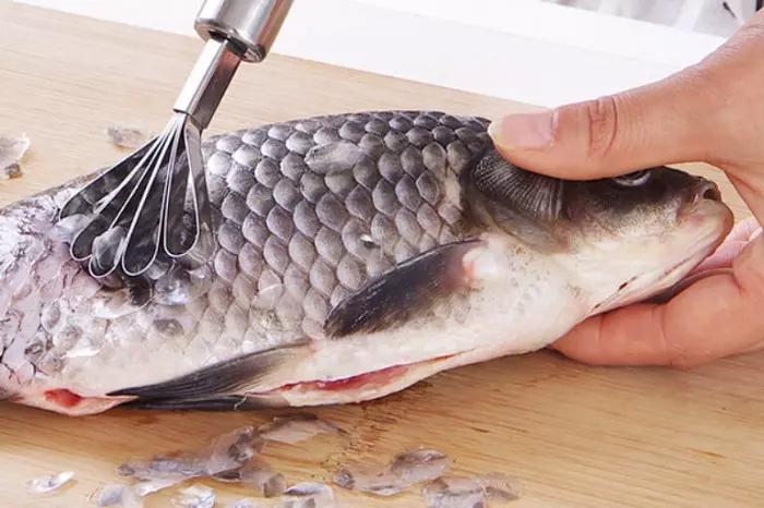Vụ 10 người ngộ độc do ăn cá chép ở Quảng Nam: Vi khuẩn Clostridium Botulinum nguy hiểm thế nào? - Ảnh 1.