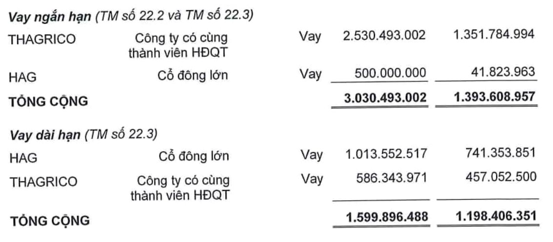 HAGL Agrico (HNG): Mảng trái cây lỗ gộp hơn 900 tỷ đồng, còn nợ HAGL khoảng 1.500 tỷ đồng - Ảnh 6.