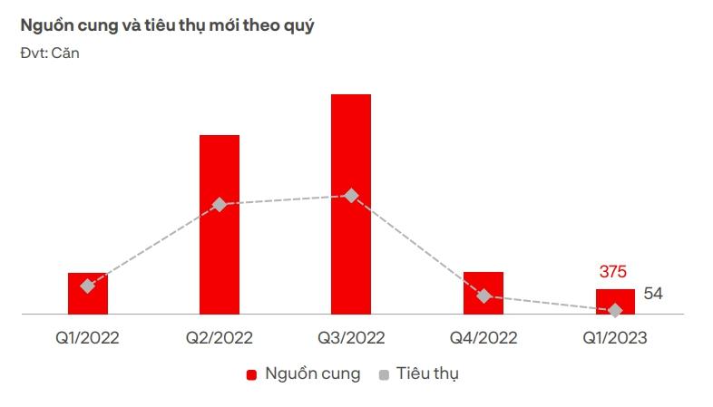 Trái chiều giữa các phân khúc bất động sản đất nền và nhà phố/biệt thự - Ảnh 3.