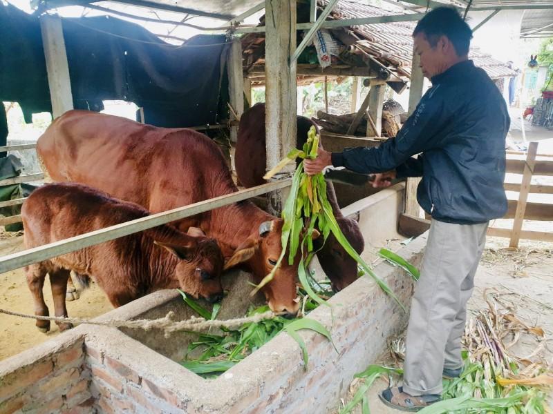 Kinh tế vĩ mô - Hà Nội tiếp tục dành các nguồn lực để xóa đói giảm nghèo bền vững