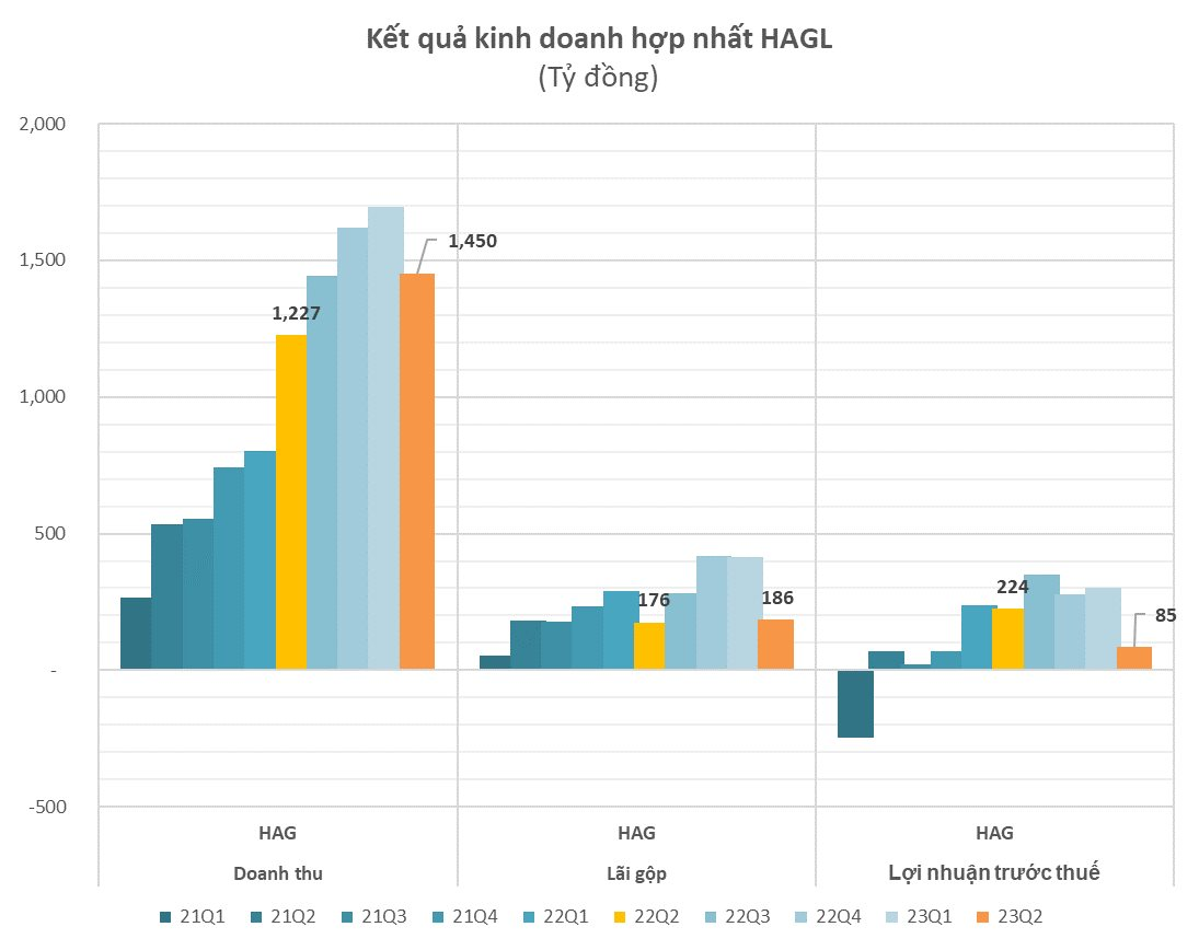 Dù mảng heo  hồi phục trong quý 2/2023, Hoàng Anh Gia Lai thoát lỗ là nhờ lợi nhuận khác - Ảnh 3.