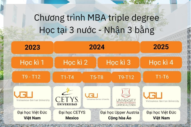 Trường ĐH Việt Đức - Chương trình học MBA nhận 3 bằng tại 3 quốc gia - Ảnh 1.