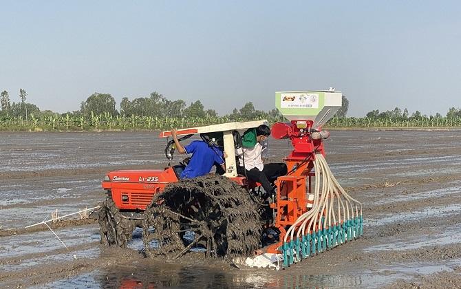 Ảnh 3: Ngành nông nghiệp điều chỉnh tăng 50.000ha diện tích gieo sạ lúa thu đông, trước tình hình lúa gạo sốt giá.