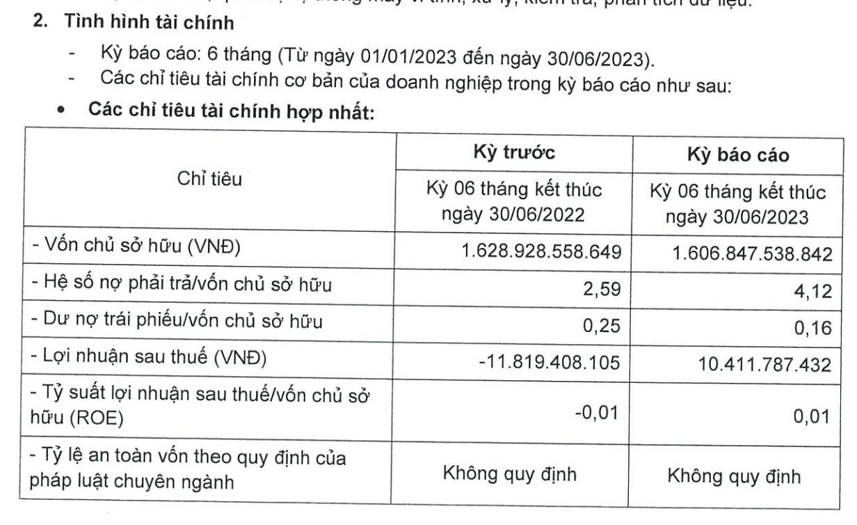 Cổ đông lớn của Chứng khoán Đại Nam báo lãi trở lại, nợ phải trả đang gấp hơn 4 lần vốn chủ - Ảnh 2.