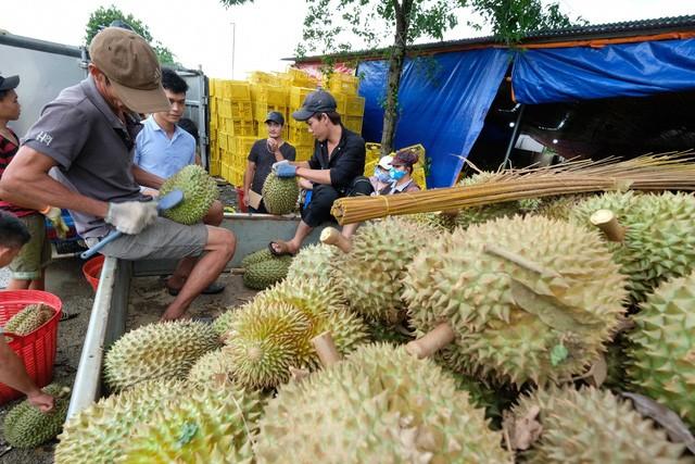 Xuất khẩu rau quả của Việt Nam đạt kỷ lục chưa từng có - Ảnh 1.