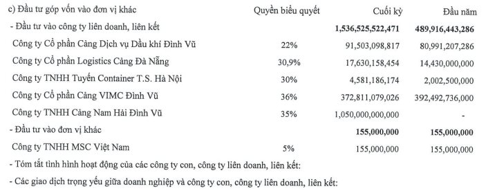 Áp lực từ chi phí lãi vay sau thương vụ nghìn tỷ Nam Hải Đình Vũ, Viconship báo lãi quý 3/2023 giảm 60% - Ảnh 3.