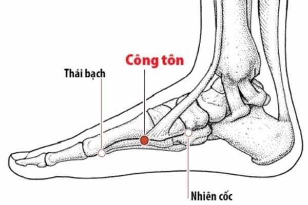 Bác sĩ Đông y: 5 thói quen thư giãn hầu như ai cũng mắc phải làm tổn hại gan và dạ dày, da khô xỉn màu - 5