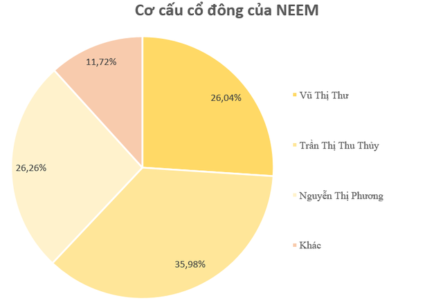 Mới lên sàn trong tháng 1,  bộ đôi doanh nghiệp có cổ phiếu tăng phi mã 400%-500% có gì đặc biệt? - Ảnh 6.