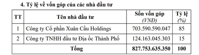 Hé mở về doanh nghiệp bất động sản