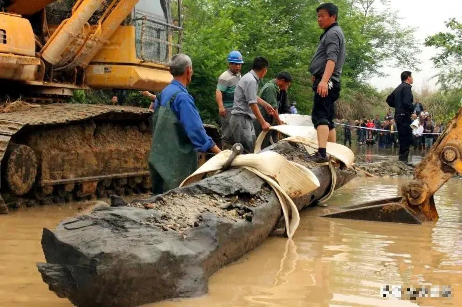 Công trường dừng thi công khẩn cấp vì máy xúc đào trúng 13.000 kg gỗ tỏa mùi thơm, ước tính hơn 71 tỷ đồng: 1 ngày sau, hiện trường bị cảnh sát phong tỏa- Ảnh 5.