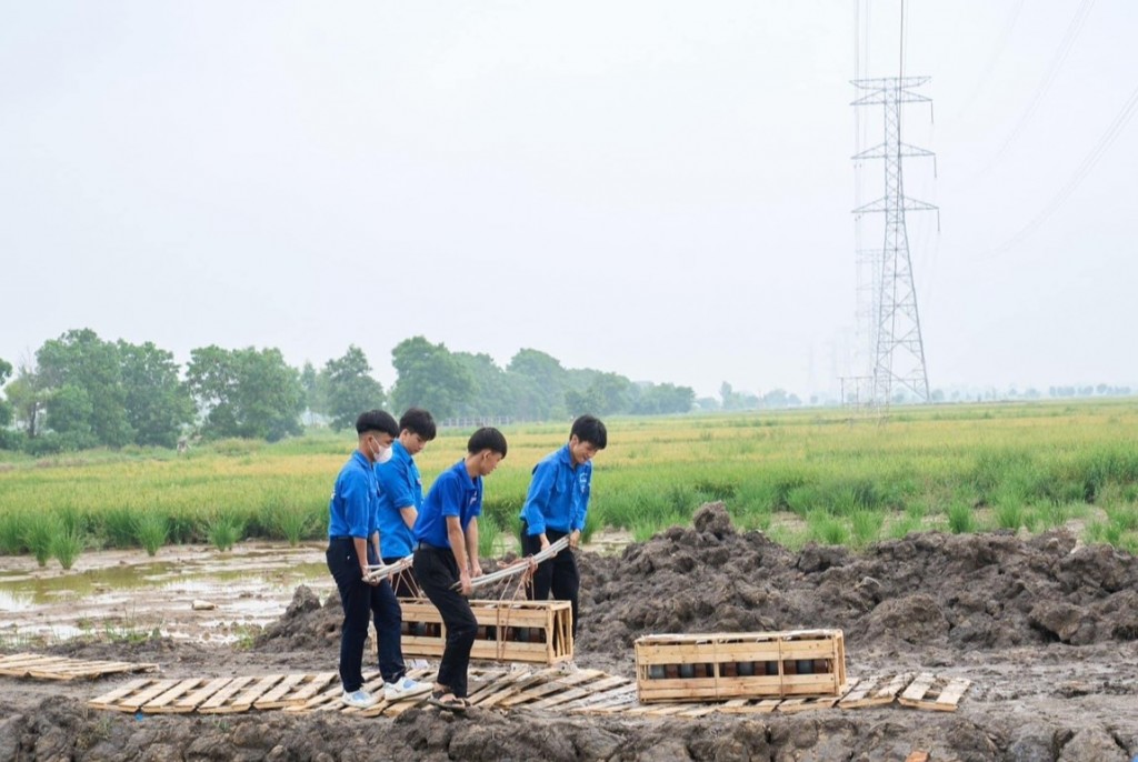 “Vượt nắng thắng mưa”, thanh niên Hải Dương nỗ lực hỗ trợ thi công