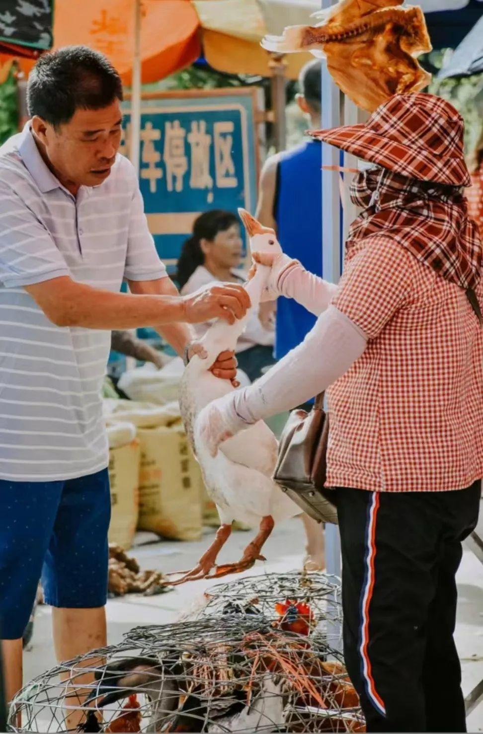 Xu hướng tiêu dùng mới của những người ở thành phố lớn: Đi chợ quê có thể tiết kiệm 3 đến 7 triệu/tháng- Ảnh 7.