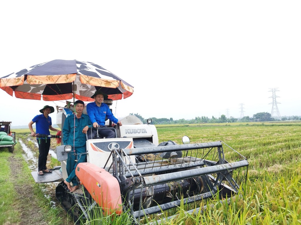 “Vượt nắng thắng mưa”, thanh niên Hải Dương nỗ lực hỗ trợ thi công