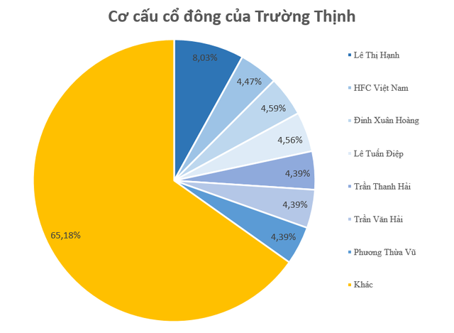 Công ty điện doanh thu hàng trăm tỷ trên HOSE: Cổ phiếu đột nhiên tăng trần 5 phiên liên tiếp và sự xuất hiện của đại gia đứng sau một ngân hàng- Ảnh 2.