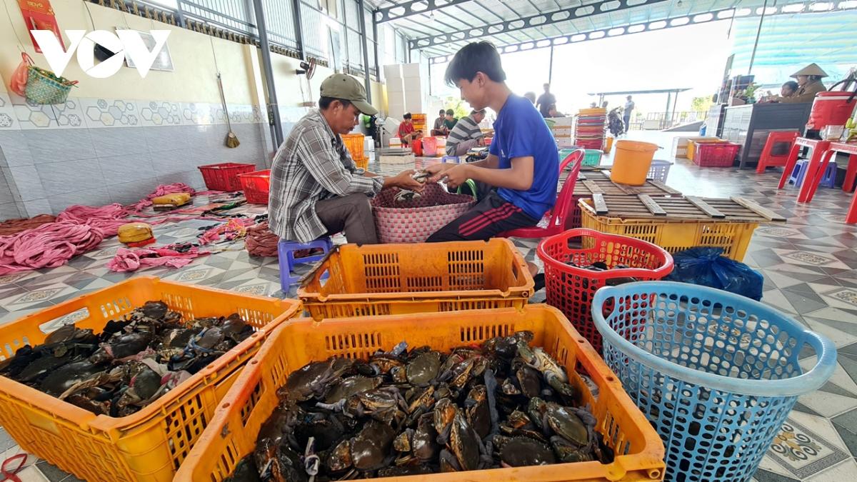 Cà Mau bác thông tin xuất khẩu cua gián đoạn do gặp khó vận chuyển- Ảnh 2.