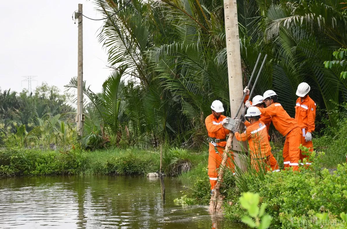 Ngành điện TP. Hồ Chí Minh: Hạn chế thấp nhất các sự cố mùa mưa bão