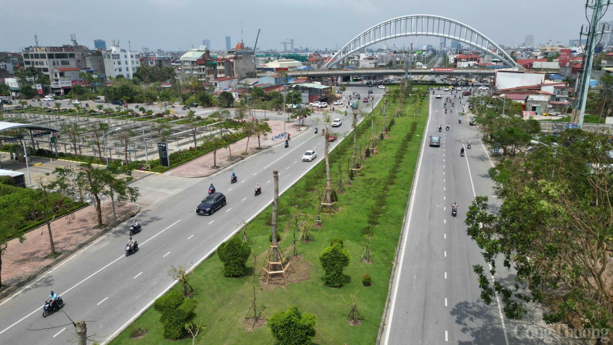 Hải Phòng hoàn thành trồng, dựng lại cây xanh bị gãy, đổ trên nhiều tuyến phố