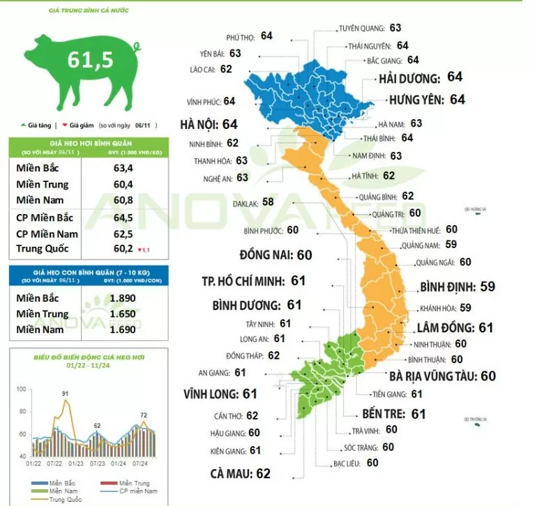 Giá heo hơi hôm nay 8/11/2024: