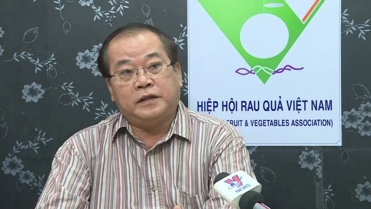 Dự báo nào cho xuất khẩu rau quả năm 2025? Dự báo nào cho xuất khẩu rau quả năm 2025?