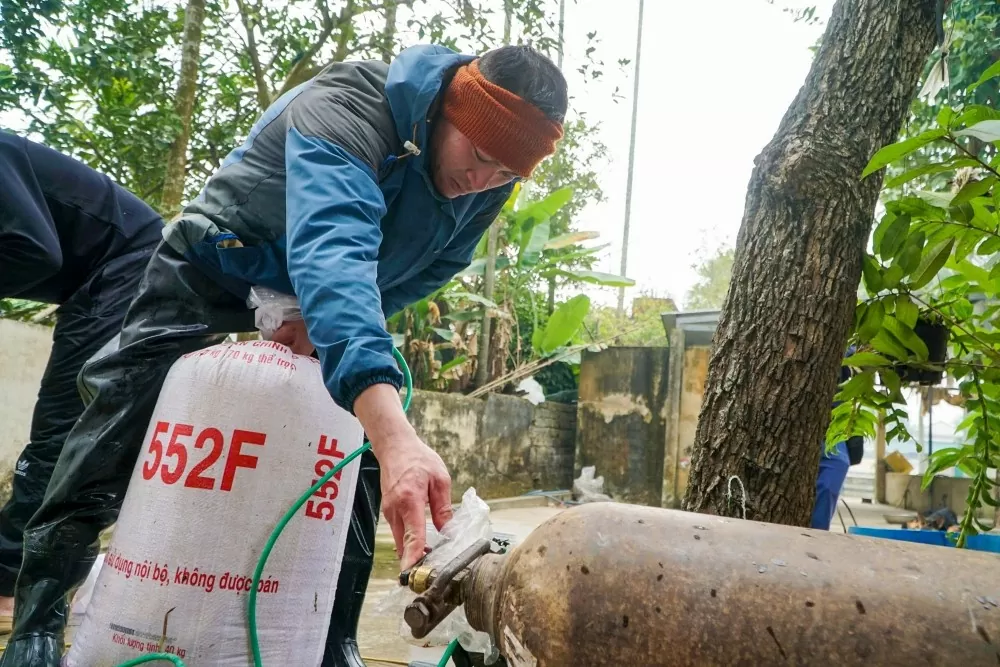 làng cá chép đỏ thanh hóa