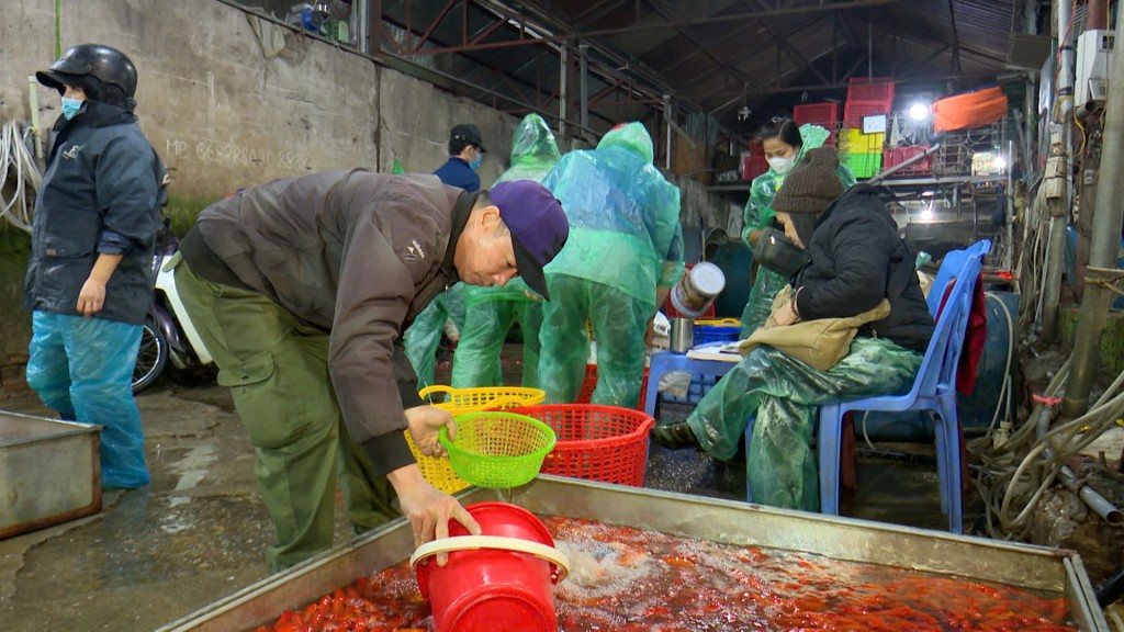 Chợ cá Yên Sở tấp nập từ sáng sớm