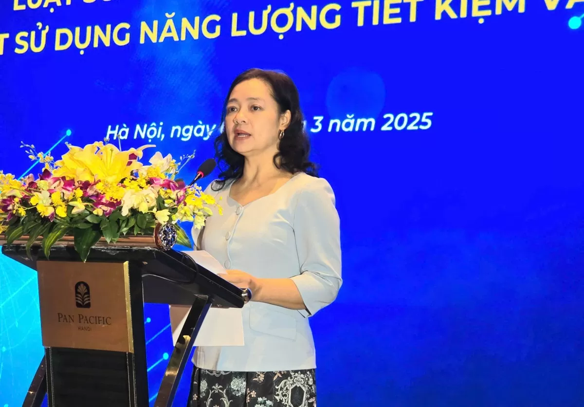 Tham vấn ý kiến dự thảo Luật Tiết kiệm năng lượng