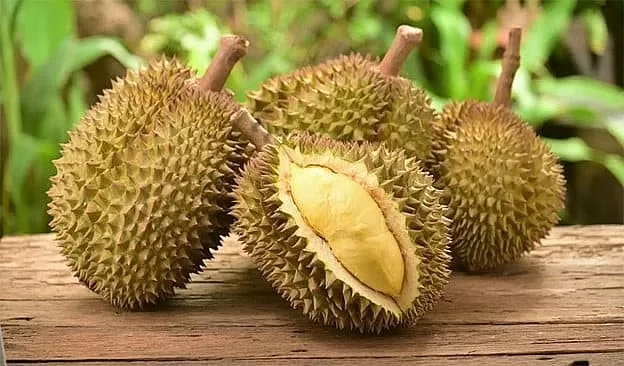 Sầu riêng Ri6 tại nhiều nhà vườn giảm chỉ còn phân nửa so với cùng kỳ năm ngoái